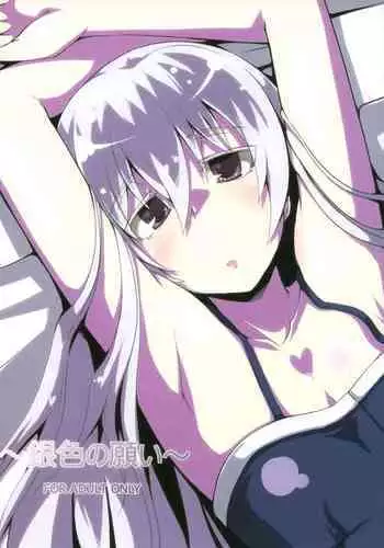 (COMIC1☆5) [Catcher's mitt of silver (Kaname Nagi)] ~Giniro no Negai~ (DARKER THAN BLACK) [Chinese] [忆之风汉化组]