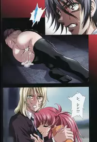 (C74) [HenReiKai (Kawarajima Koh)] SEED ANOTHER CENTURY D.E 6 (Gundam SEED)