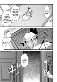 (C78) [Kurage no Candume (Yoshino)] .REC (Touhou Project) [English] [YQII]