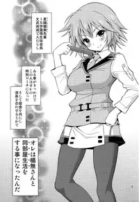 (C84) [Popochichi (Yahiro Pochi)] SHE IS A TECHNICIAN (Infinite Stratos)