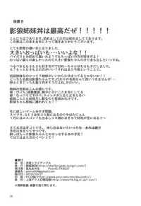 (Kouroumu 14) [Haigoku Ryodan (Karasuma Amiru)] Kyuuai Triangle (Touhou Project)