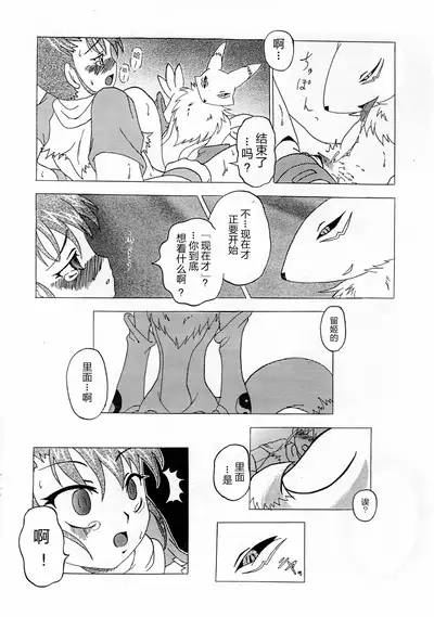 [Matsubara Shougakkou (Matsubara Chigusa)] La renarde lunaire (Digimon Tamers) [Chinese] [逃亡者x新桥月白日语社汉化]