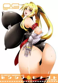 [HGH (HG Chagawa)] Senshi no XXX (Mahou Shoujo Lyrical Nanoha) [Digital]