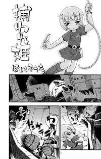 (C77) [Puchi-ya (Hoshino Fuuta)] Toraware Hime Zenpen