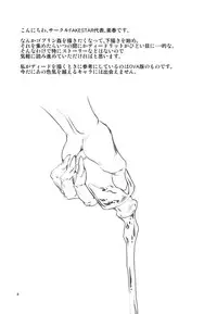 [FAKESTAR (Miharu)] LS (Record of Lodoss War)