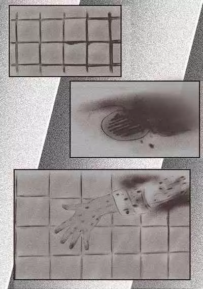 The case of crossdresser murder(女装男子殺人事件)