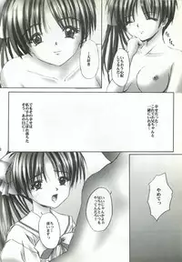 [FINAL EVOLUTION S-RS (ZAN, Chosuke)] VISUAL DESIRE 2 (With You)