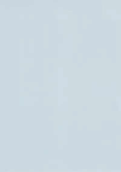 Blue Archive Hon. Full Color