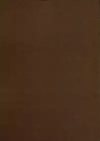 (C91) [Kei Kei Dou (Kei Kei)] Innkou Momiji (Touhou Project) [Chinese] [CE家族社]