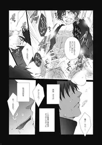 [我☆慢☆汁にチンパイパイ] Wall Painting (Fate/Zero)