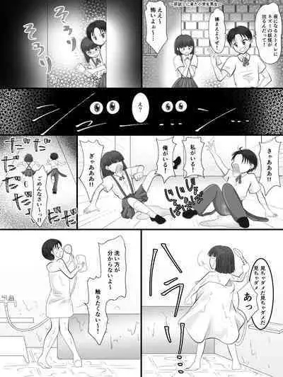 The Mysterious Swap Toilet