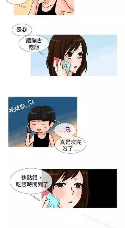 小野貓馴服手冊