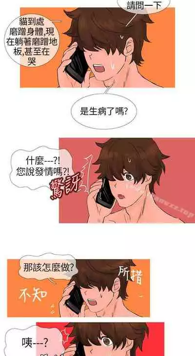 小野貓馴服手冊