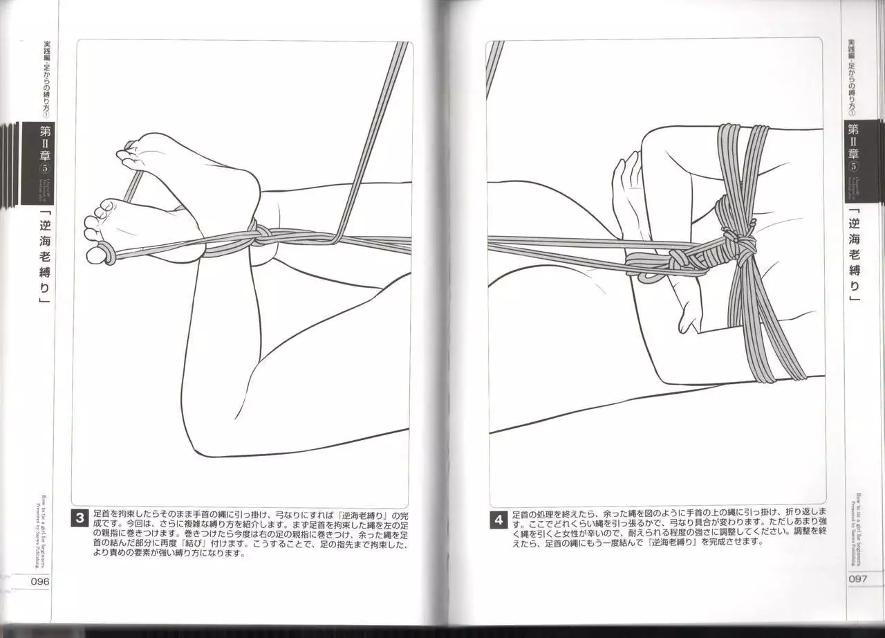Now you can do it! Illustrated Tied How to Manual