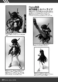 (C77) [Visual Biscuits (Tokihama Jirou)] Kagaku Touki Silver Raina Extra