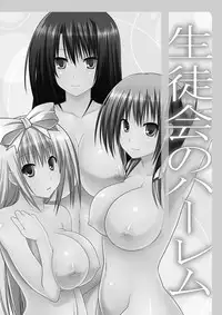 [Lapis Lazuli (Tukazi)] Seitokai no Harem (Seitokai no Ichizon) [Digital]