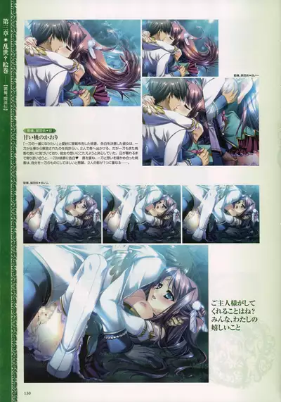 Shin Koihime Musou -Otome Ryouran Sangokushi Engi- Perfect Visual Book