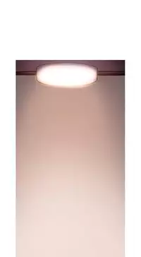 [PINKO] Scandal of the Witch Ch.1-24 (English) (Ongoing)