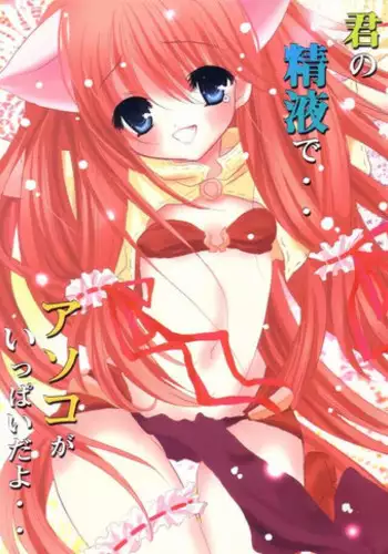 (C64) [Mikekodou (Mikeko)] Kimi no Seieki de.. Asoko ga Ippai da yo.. (Ragnarok Online)