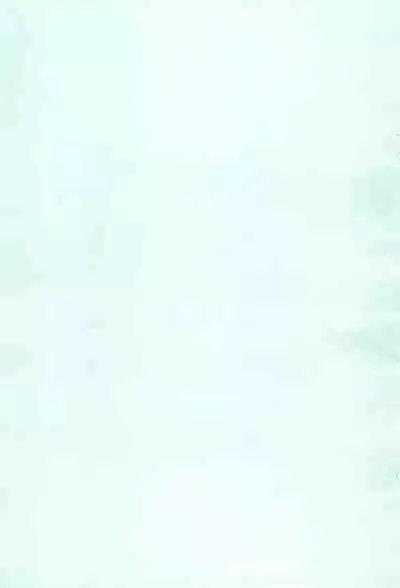 (Lyrical Magical 2) [SimpleClass (Shinozuki Kou)] Donmai. (Mahou Shoujo Lyrical Nanoha)