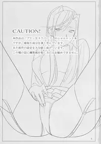 (C76) [Hito no Fundoshi (Yukiyoshi Mamizu)] Admired beautiful flower. (Princess Lover!) [Chinese]