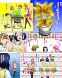 [Carrot] Okugai de Soap-Ru Joukan (To LOVE-Ru)