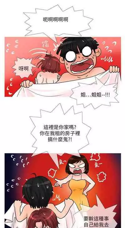 小野貓馴服手冊