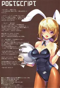(C84) [slice slime (108 Gou)] Hatsujou Usagi no Shitsukekata (IS <Infinite Stratos>)