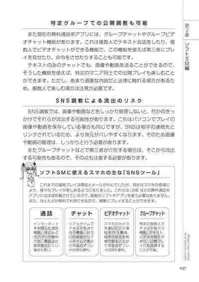 いますぐデキる 図説SMプレイマニュアル