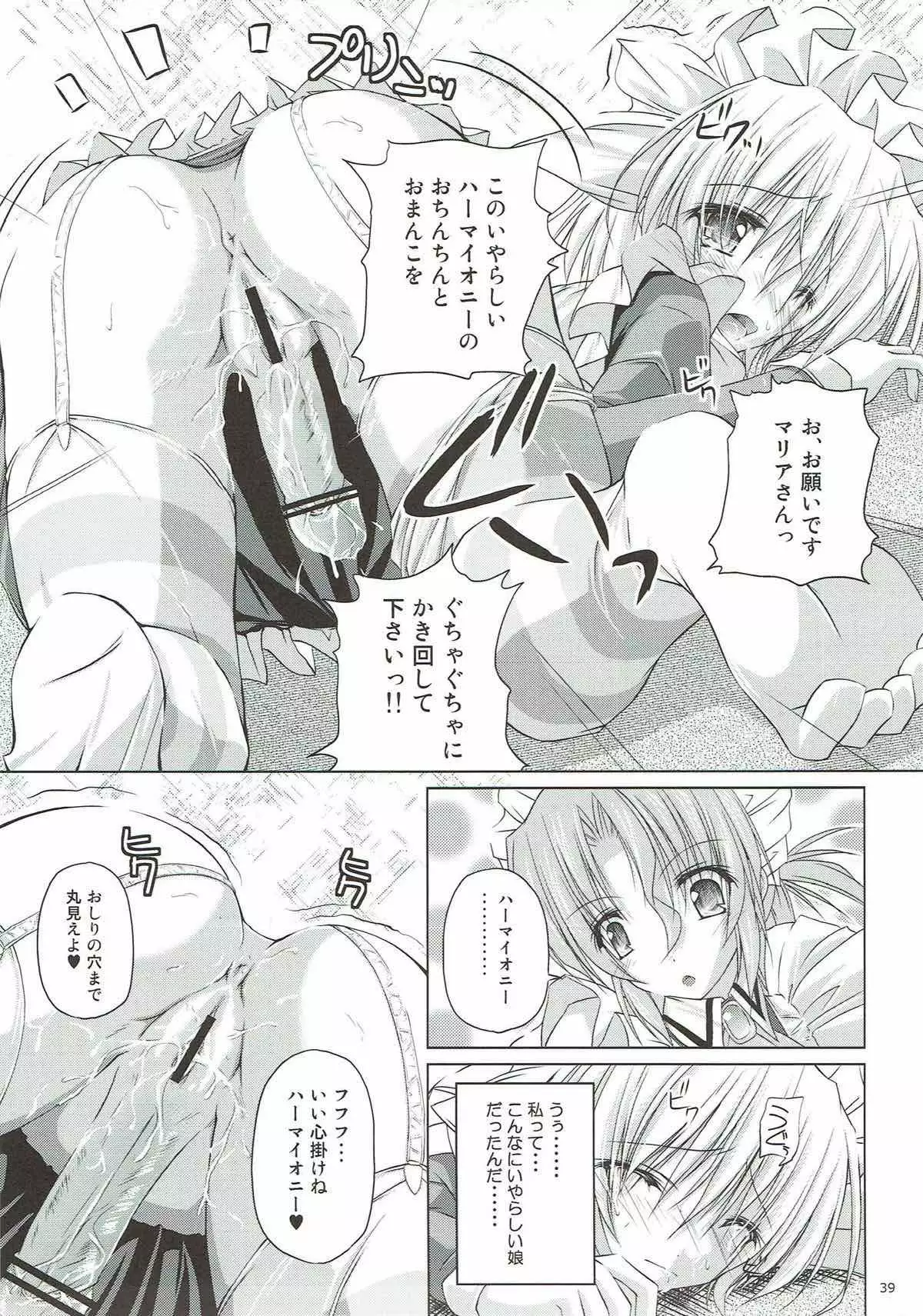 r.i.s archive 1 -ハヤテ本総集編-