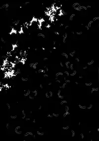 (C95) [Sasa Chaya (Sasa Sakuno)] HAPPY END (Satsuriku no Tenshi)