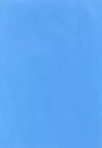 [Haniwa Mania (Pon Takahanada)] Shinjji Mania 5 Tsuushin (Neon Genesis Evangelion)