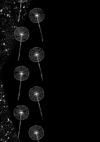 Himitsu no Ticket | 秘密的免費券