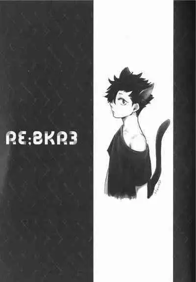 Re:BKR 3