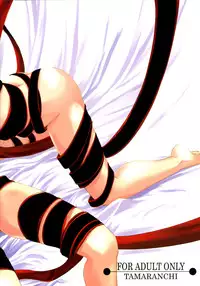 (C69) [Tamaranchi (Q-Gaku, Shinbo Tamaran)] EX PERIENCE (Fate/stay night)