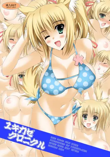 [HATENA-BOX (Oda Kenichi)] Yukikaze Chronicle (DOG DAYS) [Digital]