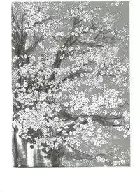 (C65) [Slave (Ebina Souichi)] Kasumi Love 3 (Dead or Alive)