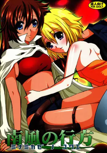 (C72) [Neko to Hato (Hatoya Mameshichi)] Minamikaze no Yukue (El Cazador de la Bruja)