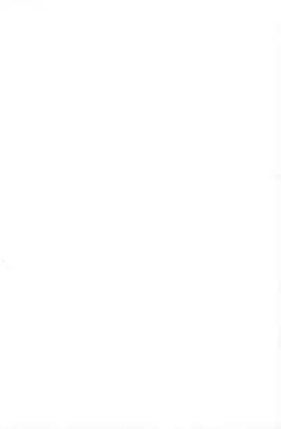 (COMITIA138) [T.4.P (Nekogen)] Kotoshi wa Ikenakatta ne, Umi