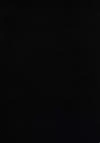 (CR33) [ORICOMPLEX (orico)] Tengudou Vol.3 (Dead or Alive)