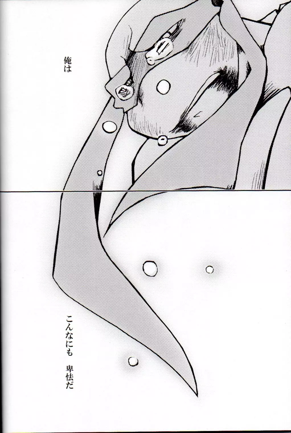 FALLEN - Raph vs Leo - Teenage Mutant Ninja Turtles, TMNT doujinshi