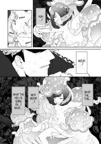 Gift (Pokémon Sun and Moon)