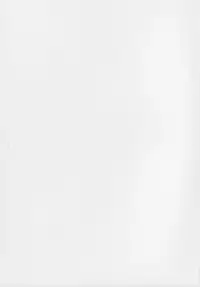 (C73)[Sangatsu No Lion (Don Shigeru)] Fog Field (Darker Than Black)