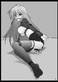 [Thirty Saver Street (Maki Hideto, Sawara Kazumitsu, Yonige-ya no Kyou)] Storage Bind 7 (Mahou Shoujo Lyrical Nanoha) [Digital]