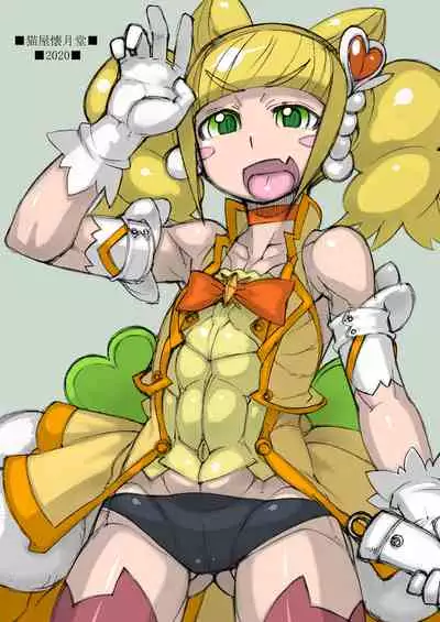 [Nekoya Kaigetsudou (T.K-1)] ROUGH vol.68 (Healin Good Precure)