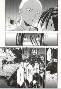 (C86) [LITHIUM (Yukimaru)] stray cat (One Punch Man)