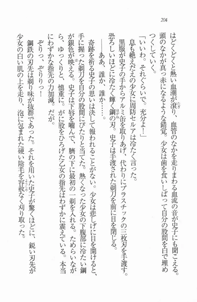 メイド喫茶　猫の隠れ家