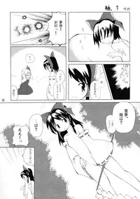 (Reitaisai 4) [Binkonhin (Various)] Touhou Reishuu-den (Touhou Project)