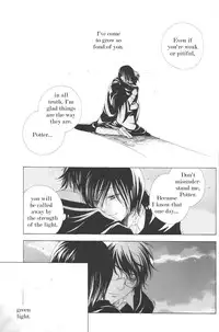 The Loneliness of the Long Distance Walker (Harry Potter) [English]