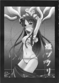 (Reitaisai 10) [Burning Soul (Sakayaki)] Himezukuri (Touhou Project)